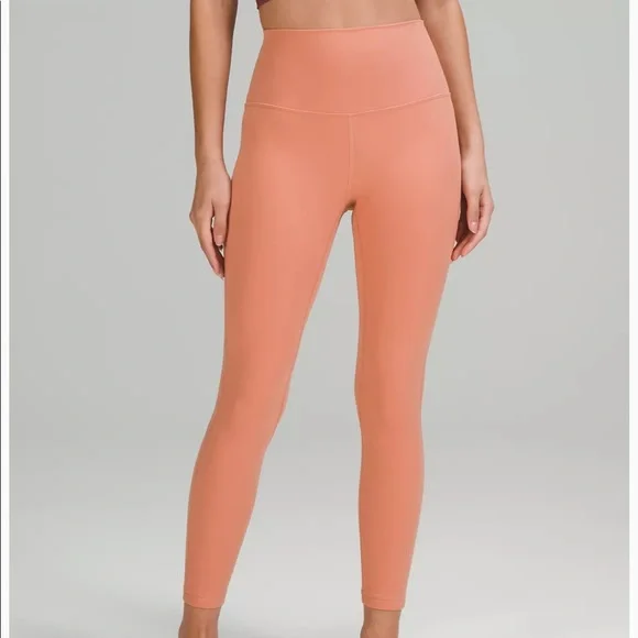 Lululemon Align 25” Pink Savannah size 2 *sold out* - Picture 1 of 4